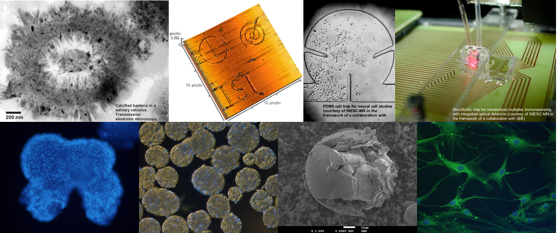 Biomateriais, Nanotecnologia e Medicina regenerativa